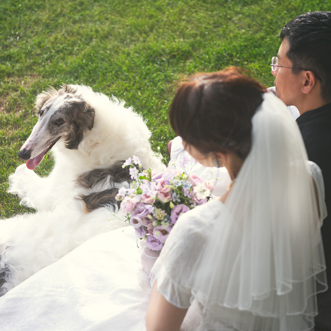 umuWeddingPhotoGallery