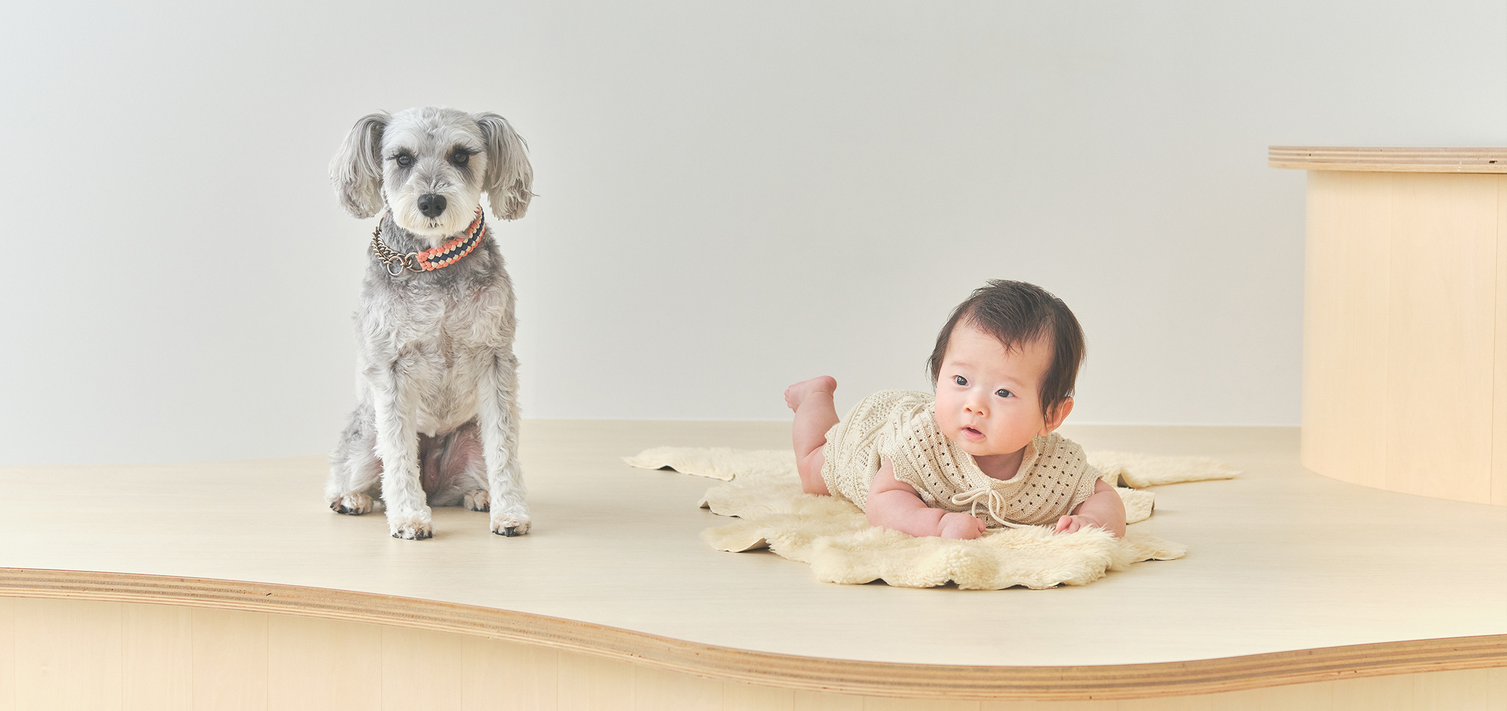 あかちゃんといぬ